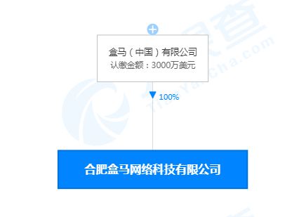 合肥盒馬網(wǎng)絡(luò)科技公司成立，注冊(cè)資本3000萬美元聚焦網(wǎng)絡(luò)信息技術(shù)